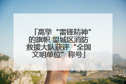 高擎“雷锋精神”的旗帜 望城区消防救援大队获评“全国文明单位”称号