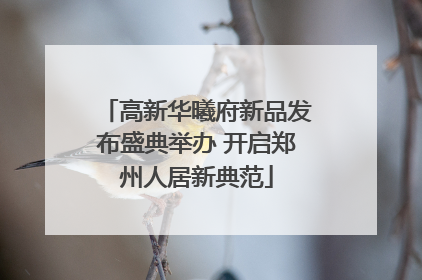 高新华曦府新品发布盛典举办 开启郑州人居新典范