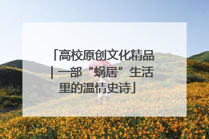 高校原创文化精品｜一部“蜗居”生活里的温情史诗