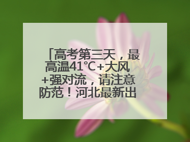 高考第三天，最高温41℃+大风+强对流，请注意防范！河北最新出行信息→