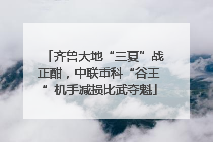齐鲁大地“三夏”战正酣，中联重科“谷王”机手减损比武夺魁