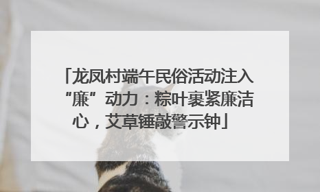 龙凤村端午民俗活动注入“廉”动力：粽叶裹紧廉洁心，艾草锤敲警示钟