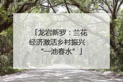 龙岩新罗：兰花经济激活乡村振兴“一池春水”