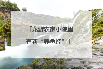 龙游农家小院里有新“养鱼经”