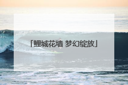 鲤城花墙 梦幻绽放