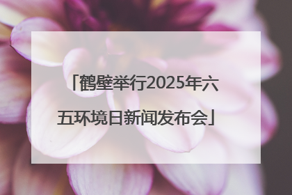 鹤壁举行2025年六五环境日新闻发布会