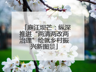 麻江坝芒：纵深推进“两清两改两治理”绘就乡村振兴新图景