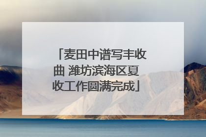 麦田中谱写丰收曲 潍坊滨海区夏收工作圆满完成