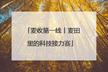 麦收第一线丨麦田里的科技接力赛
