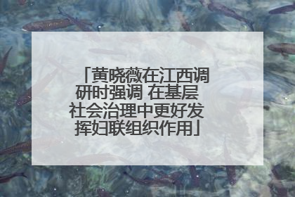 黄晓薇在江西调研时强调 在基层社会治理中更好发挥妇联组织作用