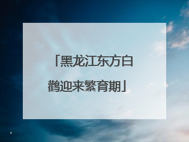 黑龙江东方白鹳迎来繁育期