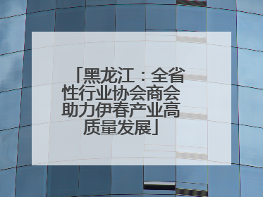 黑龙江：全省性行业协会商会助力伊春产业高质量发展