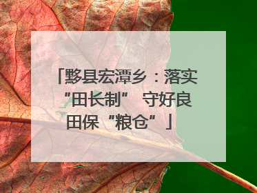 黟县宏潭乡：落实“田长制” 守好良田保“粮仓”