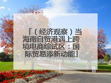 （经济观察）当海南自贸港遇上跨境电商综试区：国际贸易添新动能