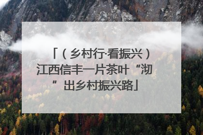 （乡村行·看振兴）江西信丰一片茶叶“沏”出乡村振兴路