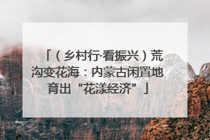 （乡村行·看振兴）荒沟变花海：内蒙古闲置地育出“花漾经济”