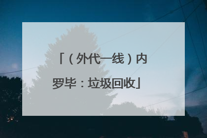 （外代一线）内罗毕：垃圾回收