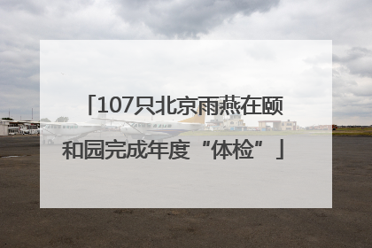 107只北京雨燕在颐和园完成年度“体检”