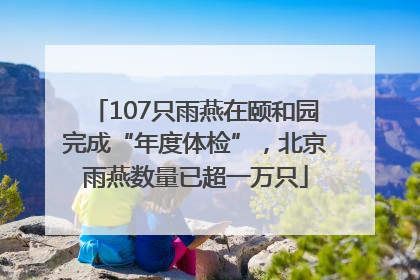 107只雨燕在颐和园完成“年度体检”，北京雨燕数量已超一万只