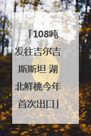 108吨发往吉尔吉斯斯坦 湖北鲜桃今年首次出口
