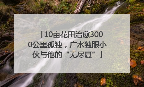 10亩花田治愈3000公里孤独，广水独眼小伙与他的“无尽夏”