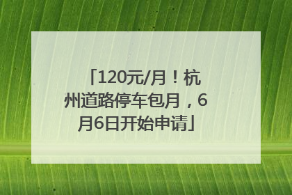 120元/月！杭州道路停车包月，6月6日开始申请