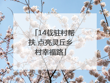 14载驻村帮扶 点亮灵丘乡村幸福路
