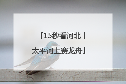 15秒看河北丨太平河上赛龙舟