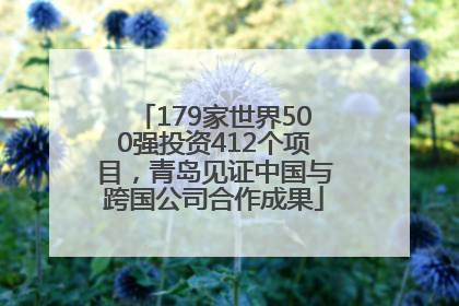 179家世界500强投资412个项目，青岛见证中国与跨国公司合作成果