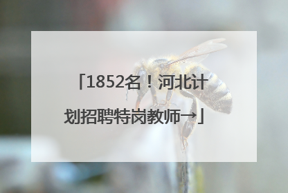 1852名！河北计划招聘特岗教师→