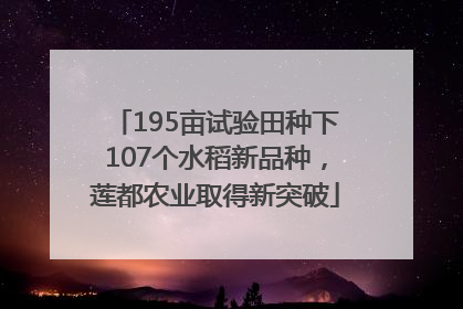 195亩试验田种下107个水稻新品种，莲都农业取得新突破