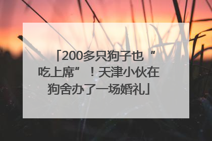 200多只狗子也“吃上席”！天津小伙在狗舍办了一场婚礼