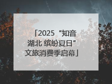 2025“知音湖北 缤纷夏日”文旅消费季启幕
