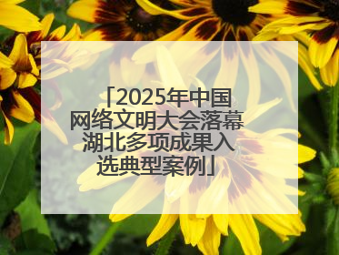 2025年中国网络文明大会落幕 湖北多项成果入选典型案例
