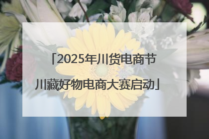 2025年川货电商节川藏好物电商大赛启动