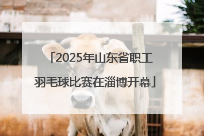 2025年山东省职工羽毛球比赛在淄博开幕