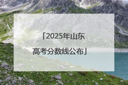 2025年山东高考分数线公布