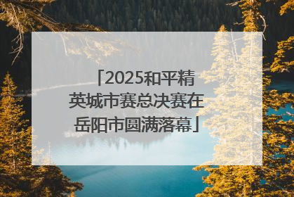 2025和平精英城市赛总决赛在岳阳市圆满落幕