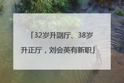32岁升副厅、38岁升正厅，刘会英有新职