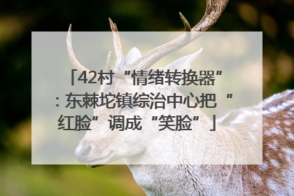42村“情绪转换器”：东棘坨镇综治中心把“红脸”调成“笑脸”