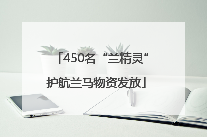 450名“兰精灵”护航兰马物资发放