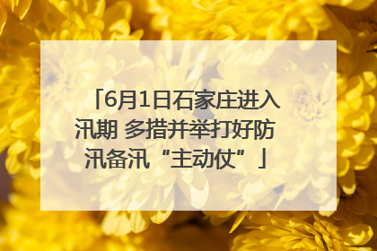 6月1日石家庄进入汛期 多措并举打好防汛备汛“主动仗”