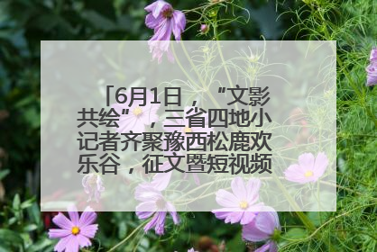 6月1日，“文影共绘”，三省四地小记者齐聚豫西松鹿欢乐谷，征文暨短视频大赛精彩启幕！