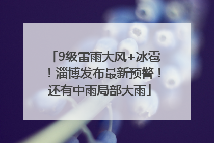 9级雷雨大风+冰雹！淄博发布最新预警！还有中雨局部大雨