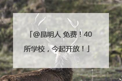 @昆明人 免费！40所学校，今起开放！