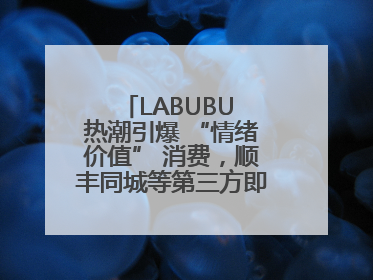 LABUBU 热潮引爆 “情绪价值” 消费，顺丰同城等第三方即配乘风而起