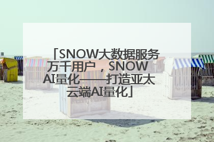 SNOW大数据服务万千用户，SNOW AI量化——打造亚太云端AI量化