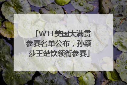 WTT美国大满贯参赛名单公布，孙颖莎王楚钦领衔参赛