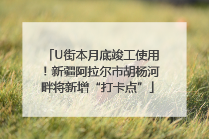 U街本月底竣工使用！新疆阿拉尔市胡杨河畔将新增“打卡点”